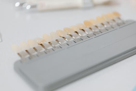 Unlock a Stunning Smile: Your Guide to Porcelain Veneers in Florida