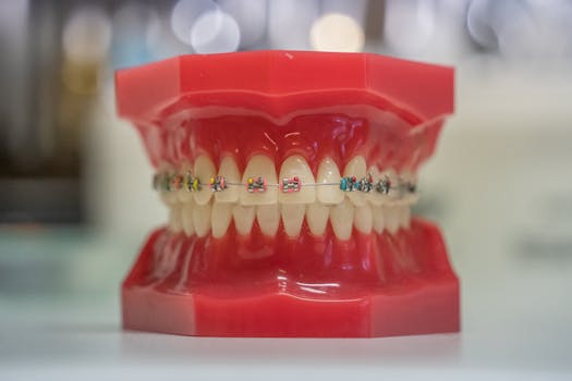 Ultimate Guide to Orthodontic Appliance Care: Tips for a Healthy Smile
